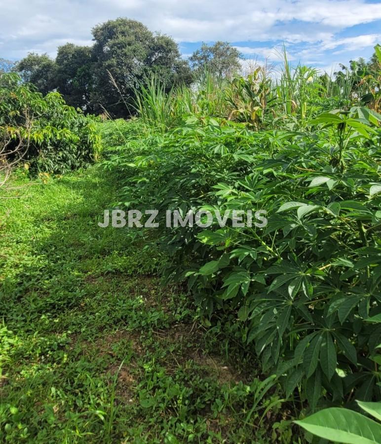 Sítio, 2 quartos, 5 hectares - Foto 17