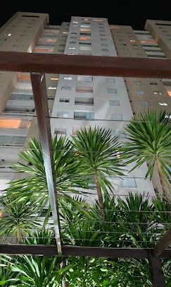 Apartamento, 3 quartos, 80 m² - Foto 1