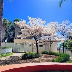 Apartamento, 3 quartos, 80 m² - Foto 8